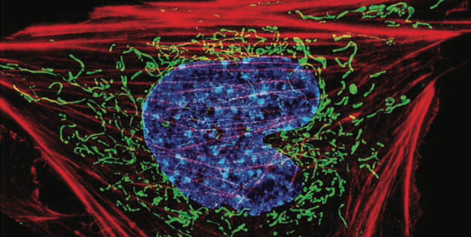 Exploring Tritium Dangers