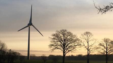 Erneuerbare Energien vs. Atomkraft