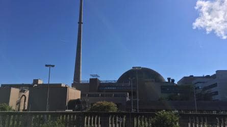 The disaster of the European nuclear industry